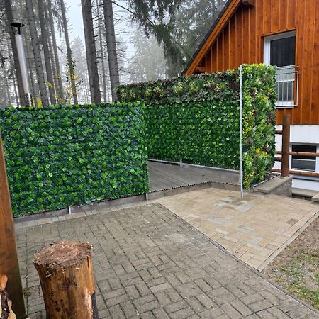 Lipno Club Villa Frymburk Buitenkant foto