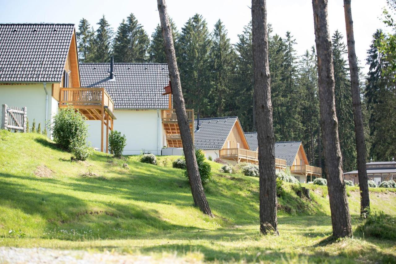 Lipno Club Villa Frymburk Buitenkant foto