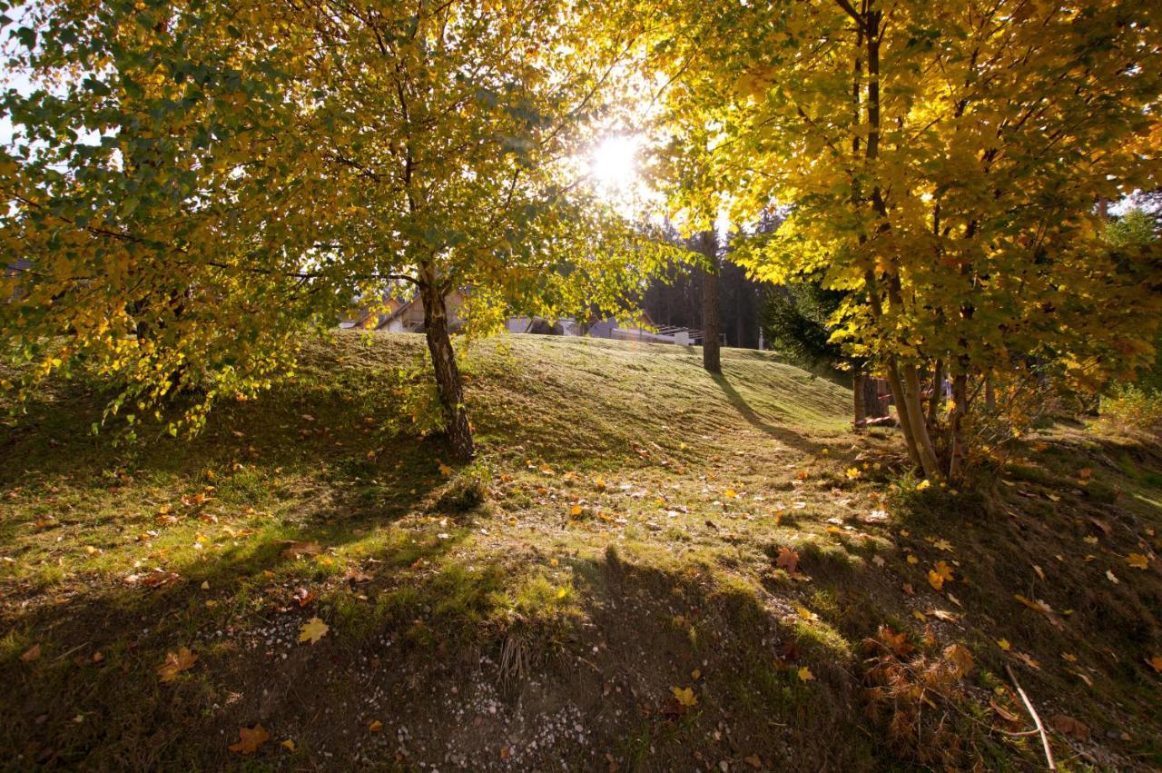 Lipno Club Villa Frymburk Buitenkant foto